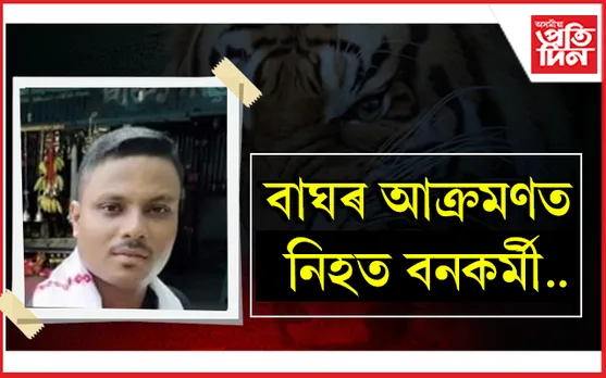 ওৰাং ৰাষ্ট্ৰীয় উদ্যানত বাঘে চোঁচৰাই নিলে গৃহৰক্ষী জোৱানকঃ মৃতদেহ উদ্ধাৰ...